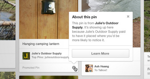 An example of a 'Promoted Pin' which Pinterest is currently experimenting with.