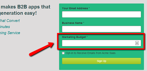 Asking someones budget on a lead form is a good way to improve the quality of your leads.