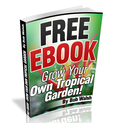 email-subscriber-ebook